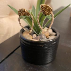 Elegant earrings